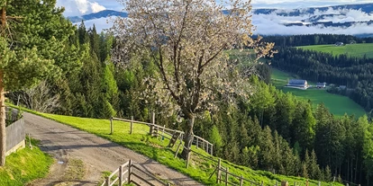 vakantie op de boerderij - ideal für: Familien - Unterleidenberg - Aussicht  - Bergbauernhof Rami 