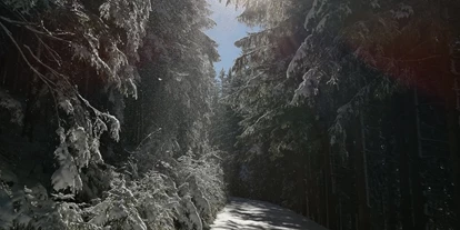 vakantie op de boerderij - ideal für: Familien - Unterleidenberg - Winter ist auch ideal zum Wandern  - Bergbauernhof Rami 