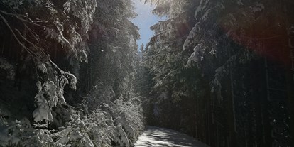 vacanza in fattoria - Fernseher am Zimmer - Neudorf bei Stainz - Winter ist auch ideal zum Wandern  - Bergbauernhof Rami 