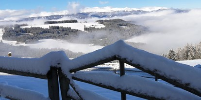 vacanza in fattoria - Priel (Wolfsberg) - Nächste Schipiste in Obdach, 7 km entfernt  - Bergbauernhof Rami 