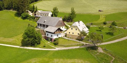 vacation on the farm - Mariahof - Rund um Wanderwege bis zum Größingberg und Amering  - Bergbauernhof Rami 
