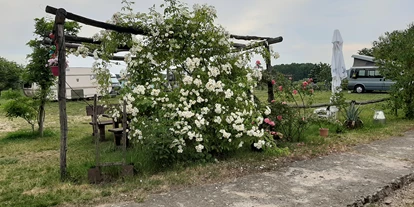 vacances à la ferme - Umgebung: Urlaub in den Hügeln - Ökohof Engler