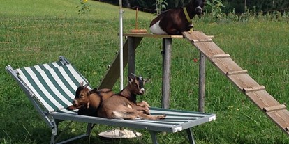 Urlaub auf dem Bauernhof - Tiere am Hof: Hasen - Tiroler Unterland - Zwergziegen zum "Kuscheln" für die Kinder - bei uns machen die Ziegen auch "Urlaub"  - Erbhof "Achrainer-Moosen"