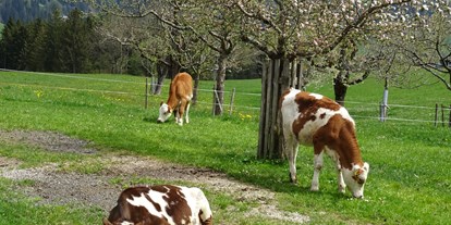 Urlaub auf dem Bauernhof - Mithilfe beim: Eier sammeln - PLZ 6233 (Österreich) - Erbhof "Achrainer-Moosen"