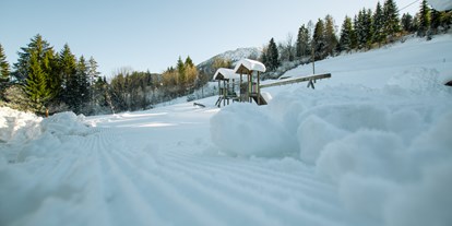 Urlaub auf dem Bauernhof - Eislaufen - Kärnten - Chalets und Apartments Hauserhof