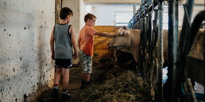 vacanza in fattoria - Tiere am Hof: Ponys - Goldberg (Dellach) - Chalets und Apartments Hauserhof
