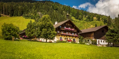 Urlaub auf dem Bauernhof - ideal für: Mitarbeit - Steuer - Prechtlhof in Flachau