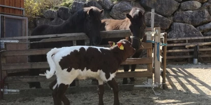 Urlaub auf dem Bauernhof - Jahreszeit: Frühlings-Urlaub - Ottokönigen - Roithhof