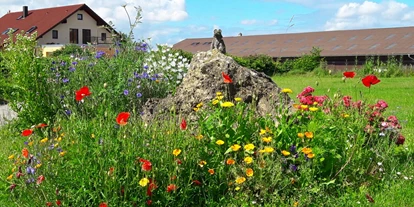 Urlaub auf dem Bauernhof - Tiere am Hof: Hühner - Birkweiler - Insekten erfreuen sich an unserer Blütenpracht - Eichhälderhof