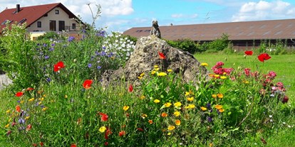 Urlaub auf dem Bauernhof - Umgebung: Urlaub in den Hügeln - Baden-Württemberg - Insekten erfreuen sich an unserer Blütenpracht - Eichhälderhof
