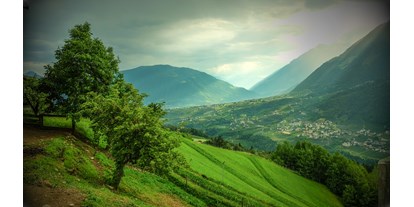 Urlaub auf dem Bauernhof - Tagesausflug möglich - Südtirol - Lechnerhof 