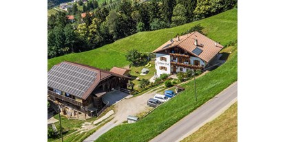 vacanza in fattoria - Fahrzeuge: Heuwender - Italia - Lechnerhof 