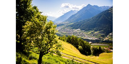 vacation on the farm - Art der Unterkunft: Ferienwohnung - Trentino-South Tyrol - Lechnerhof 