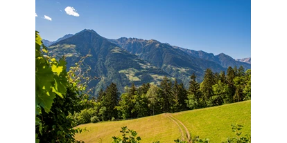 vacances à la ferme - Art der Landwirtschaft: Bergbauernhof - Südtirol - Lechnerhof 