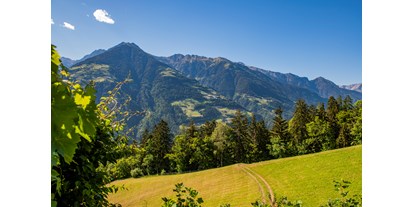 vacanza in fattoria - Tiere am Hof: Schweine - Trentino-Alto Adige - Lechnerhof 