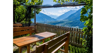 Urlaub auf dem Bauernhof - Fahrzeuge: Mähwerk - Trentino-Südtirol - Lechnerhof 