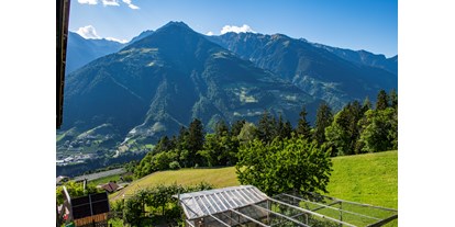 vacanza in fattoria - Mithilfe beim: Eier sammeln - Trentino-Alto Adige - Lechnerhof 