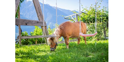 vacation on the farm - Mithilfe beim: Heuernten - Italy - Lechnerhof 