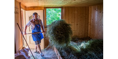 Urlaub auf dem Bauernhof - ideal für: Sportler - Sarntal - Lechnerhof 