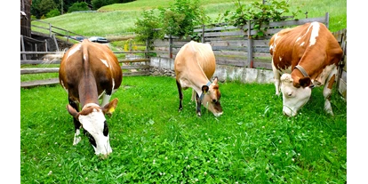 vacation on the farm - Tagesausflug möglich - Südtirol - Lechnerhof 