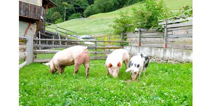 Urlaub auf dem Bauernhof - Streichelzoo - Südtirol - Lechnerhof 