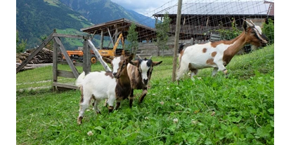 počitnice na kmetiji - Tiere am Hof: andere Tierarten - St. Andrä (Trentino-Südtirol) - Lechnerhof 