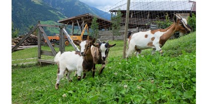 Urlaub auf dem Bauernhof - Tiere am Hof: andere Tierarten - Trentino-Südtirol - Lechnerhof 