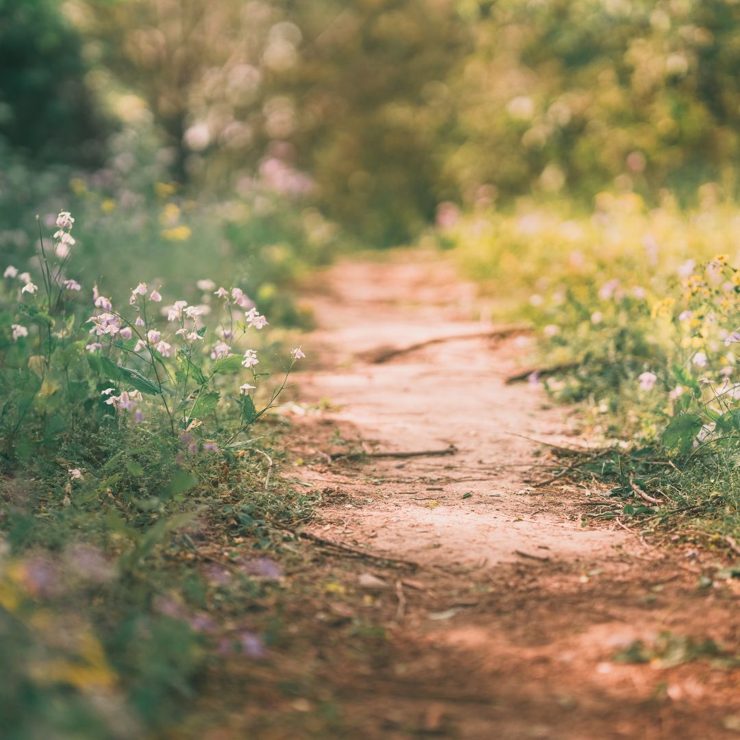 Holiday farm - Symbolbild für Urlaub auf einem Bauernhof - Bernhardenhof