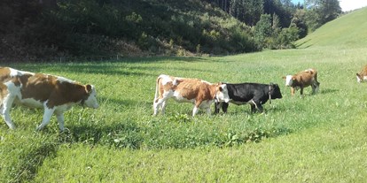 Urlaub auf dem Bauernhof - Fahrzeuge: Balkenmäher - Reith im Alpbachtal - Unsere Tiere auf der Weide! - Wermenerhof