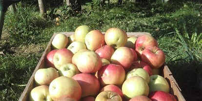 Urlaub auf dem Bauernhof - ideal für: Mitarbeit - Reith im Alpbachtal - Ernte aus dem eigenen Obstgarten! - Wermenerhof