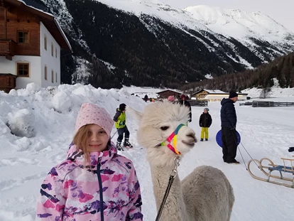 Urlaub auf dem Bauernhof - Tiere am Hof: Ponys - Ötztal - Kostenlose Lama-Alpakawanderung - Reiterhof Alpin Appart