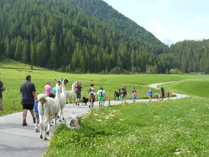 Urlaub auf dem Bauernhof - Wellness: Wellnessbereich - Alpen - Lama-Alpakawanderung im Sommer und Winter - Reiterhof Alpin Appart
