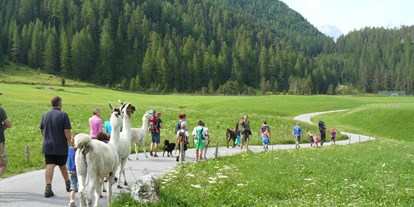 Urlaub auf dem Bauernhof - Jahreszeit: Winter-Urlaub - Lama-Alpakawanderung im Sommer und Winter - Reiterhof Alpin Appart