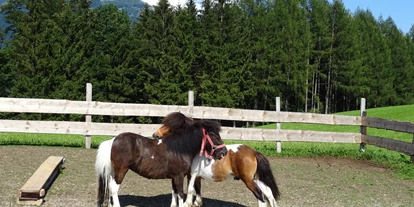 Urlaub auf dem Bauernhof - Tiere am Hof: Ponys - Mödenham - Eggerhof
