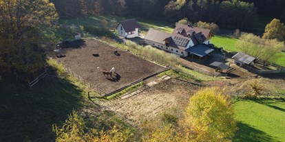 Urlaub auf dem Bauernhof - ideal für: Sportler - Glatzental - Unser NaturGut Kunterbunt ist ein idyllischer Pferdehof in der Steiermark - umgeben von Wald und Wiesen.  - NaturGut Kunterbunt 