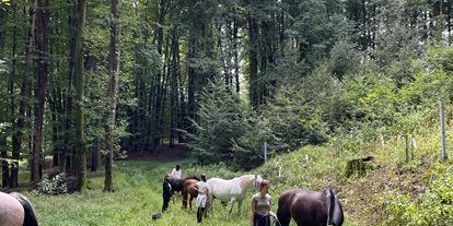 vacanza in fattoria - ideal für: Familien - Kirchberg am Wechsel - Zahlreiche Spazierwege befinden sich rund um das Naturgut.  - NaturGut Kunterbunt 