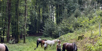vacation on the farm - Tiere am Hof: Enten - Strallegg - Zahlreiche Spazierwege befinden sich rund um das Naturgut.  - NaturGut Kunterbunt 