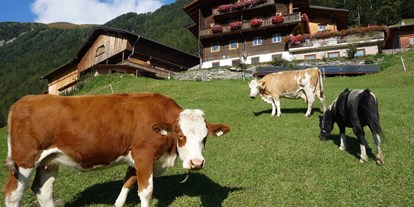 vacation on the farm - ideal für: Ruhesuchende - Hohe Tauern - Tiere am Wachtlerhof - Bauernhof Wachtlerhof