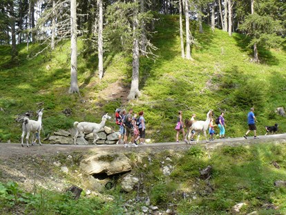 vacanza in fattoria - Art der Vergünstigung: Rabatt - Tiroler Oberland - Kostenlose Lama-Alpakawanderung - Reiterhof Alpin Appart Pfingstferien im Appartementhaus, Reitwoche für Kinder