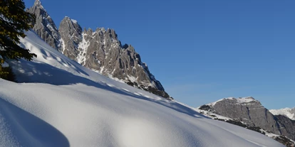 Urlaub auf dem Bauernhof - Tagesausflug möglich - Steuer - Winter in unseren schönen Bergen - Schloif Troadkastn