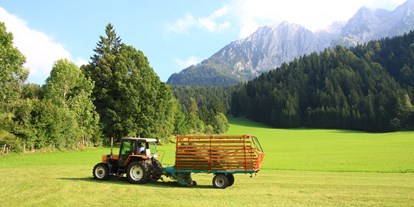 Urlaub auf dem Bauernhof - Umgebung: Urlaub in den Wäldern - Tirol - Heuernte - Großwolfing