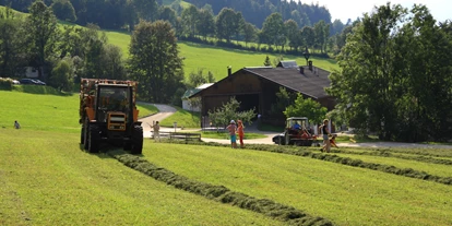 Urlaub auf dem Bauernhof - nachhaltige Landwirtschaft - Grabenstätt - Heuernte - Großwolfing