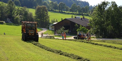 vacanza in fattoria - Mithilfe beim: Tiere füttern - PLZ 6275 (Österreich) - Heuernte - Großwolfing