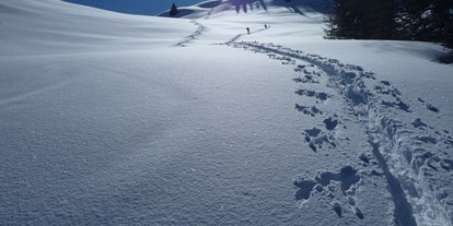 Urlaub auf dem Bauernhof - Schwimmmöglichkeit: Badesee - Tirol - Im Winter auf die Alm - Großwolfing