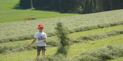 vacanza in fattoria - Mithilfe beim: Ernten - Penningberg - Heuarbeit - Großwolfing