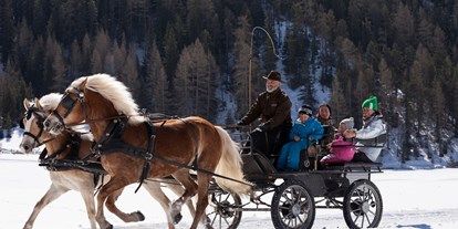 Urlaub auf dem Bauernhof - Tirol - Kutschenfahrt mit unseren Haflingern - Sommer und Winter möglich - Bio und Reiterhof der Veitenhof
