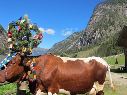 Urlaub auf dem Bauernhof - Tiere am Hof: Kühe - Embach (Lend) - Almabtrieb - Enzianhütte
