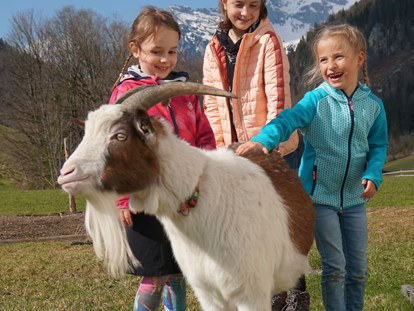 vacation on the farm - Tiere am Hof: Ziegen - Austria - Spaziergang mit unserem braven "Benni" - Urlaub am Foidlhof