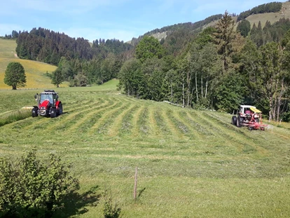 dovolená na farmě - Frühstück - Griesbachwinkl - Unsere beiden Traktoren - Urlaub am Foidlhof