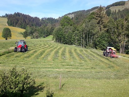 Urlaub auf dem Bauernhof - Mithilfe beim: Melken - Grießen (Leogang) - Unsere beiden Traktoren - Urlaub am Foidlhof
